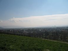 Weil am Rhein Weiler Weinweg 006.jpg